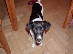 Resize of PC310116.JPG